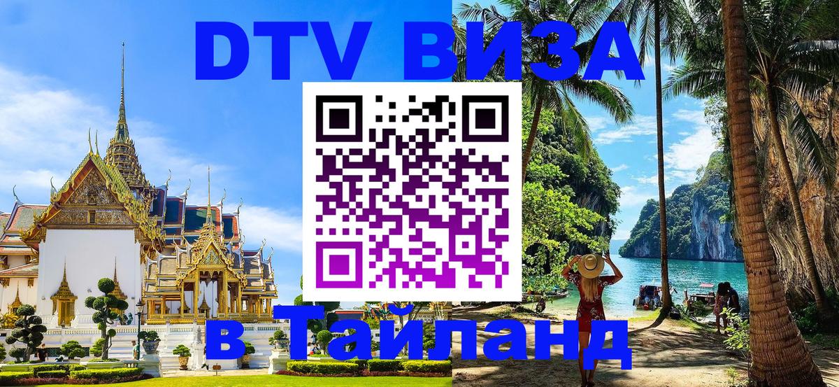 Оформление DTV визы под ключ: стоимость и тарифы, только загранпаспорт - 